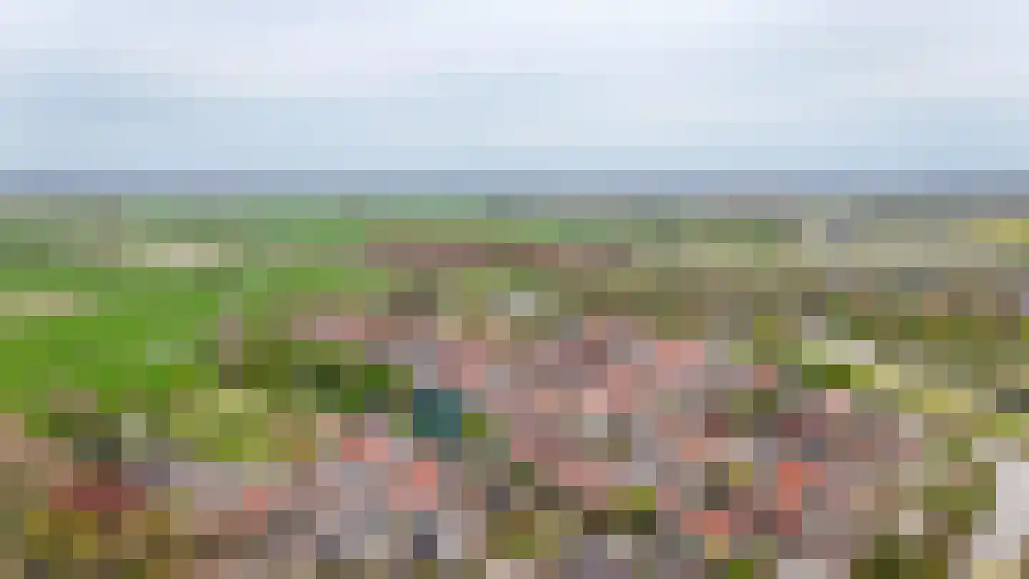 Buitenhuizenpoort 5 Buren thumbnail 55