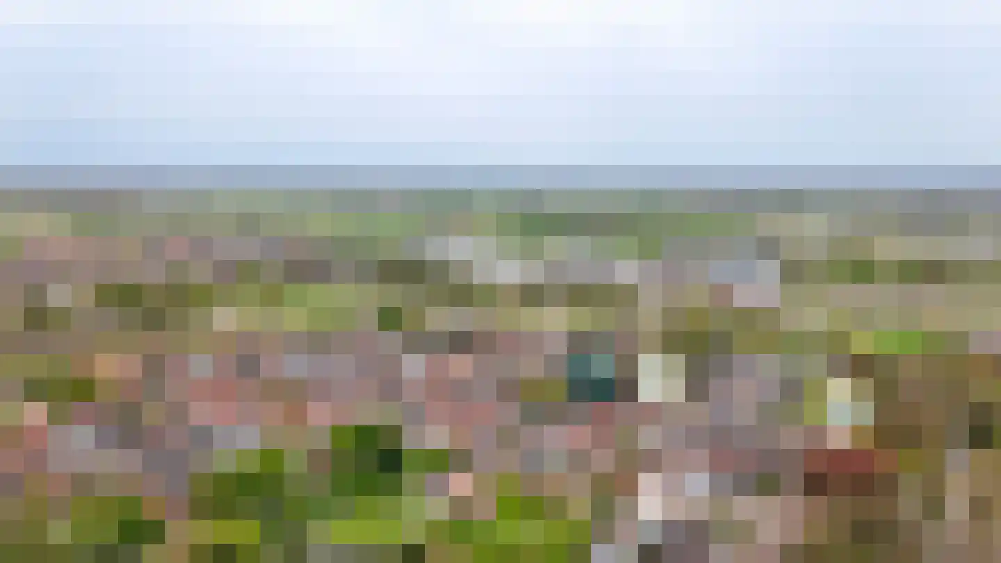Buitenhuizenpoort 5 Buren thumbnail 57