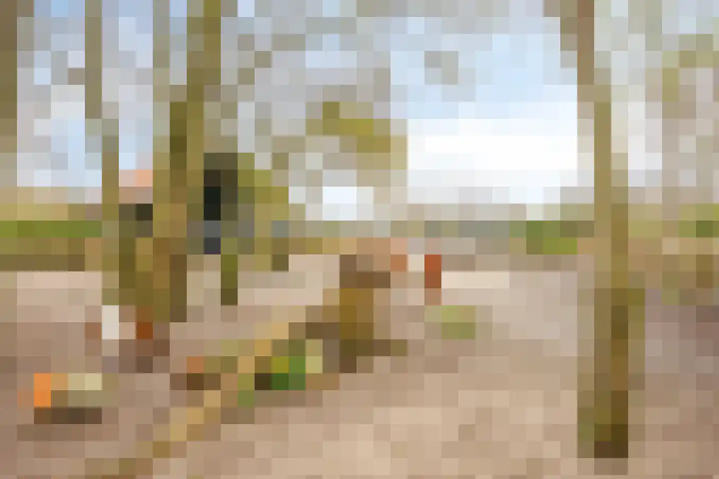 Buitenhuizerweg 2 107 Velsen-Zuid thumbnail 21