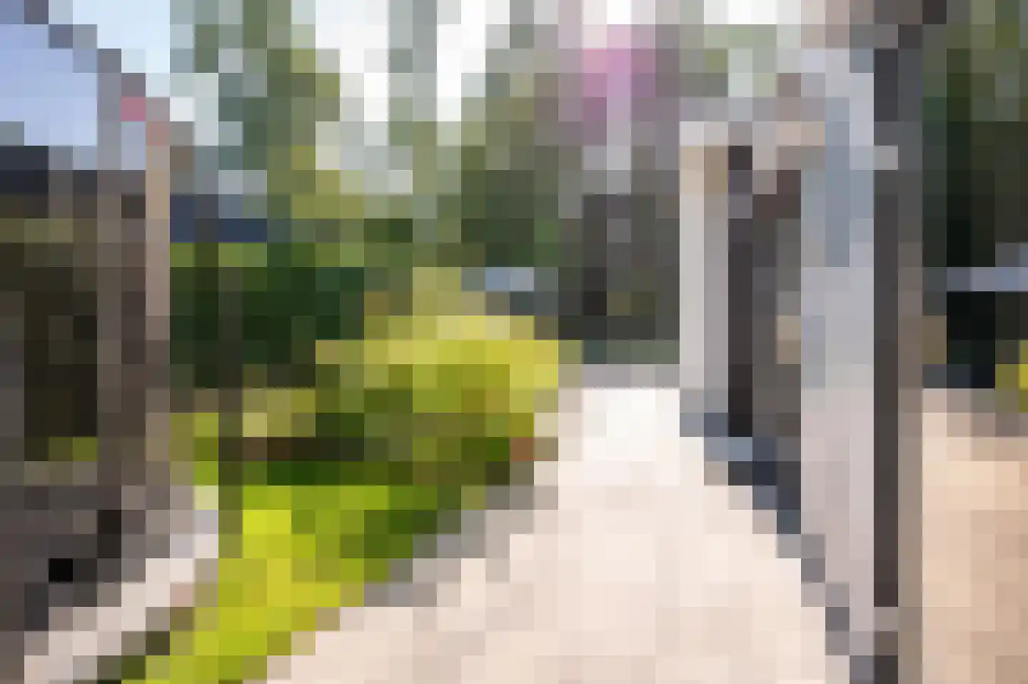 Buitenhuizerweg 2 133 Velsen-Zuid thumbnail 25