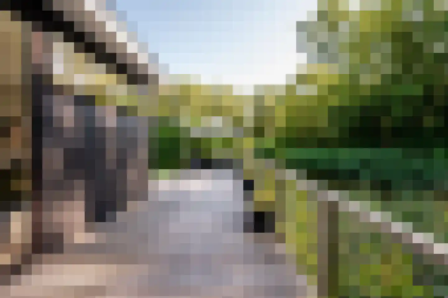 Buitenhuizerweg 2 133 Velsen-Zuid thumbnail 29