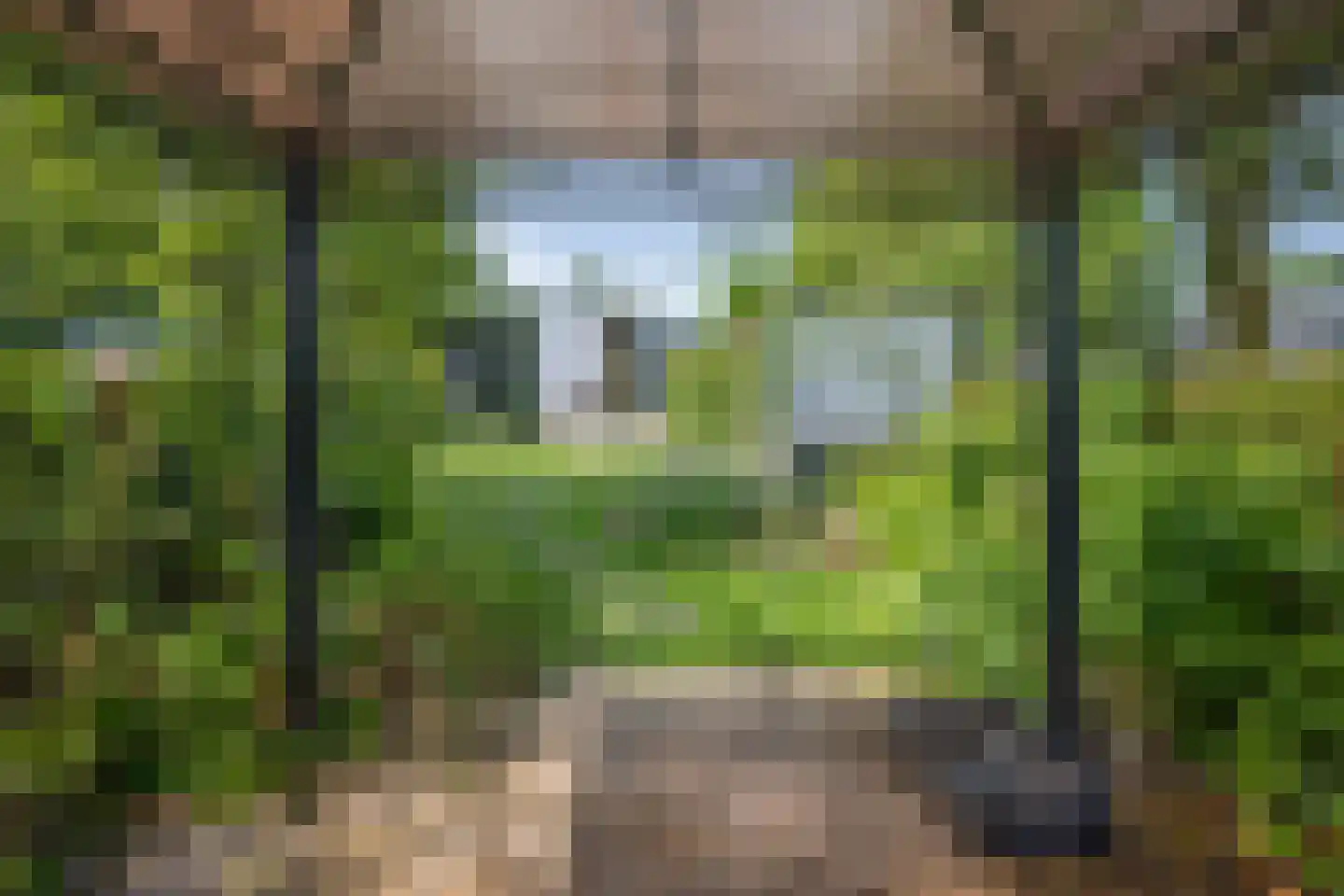 Buitenhuizerweg 2 149 Velsen-Zuid thumbnail 13