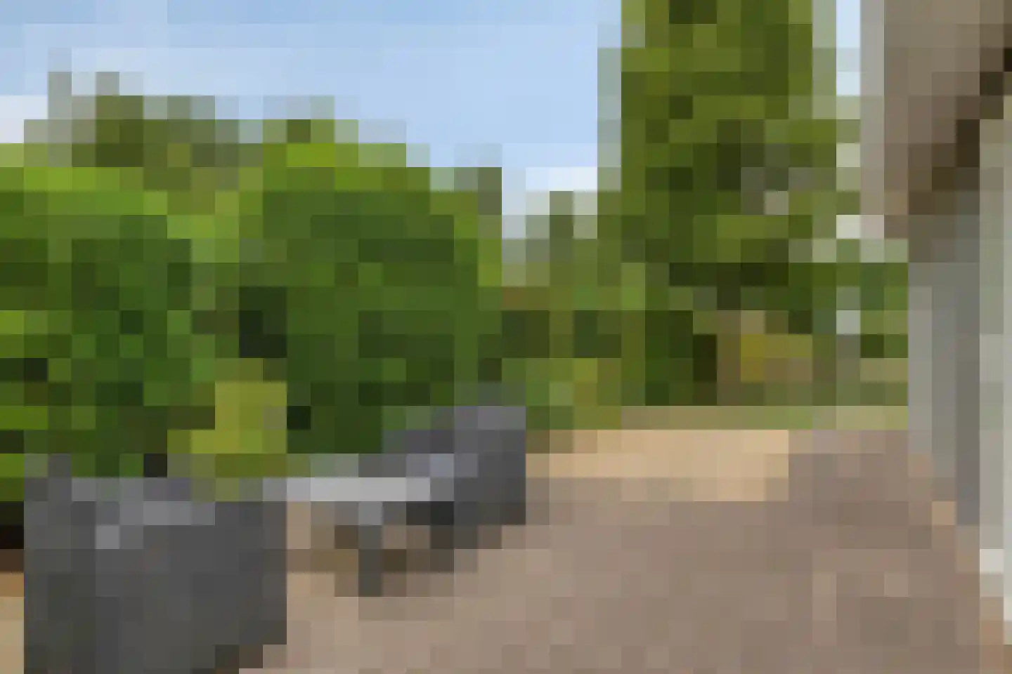 Buitenhuizerweg 2 159 Velsen-Zuid thumbnail 24