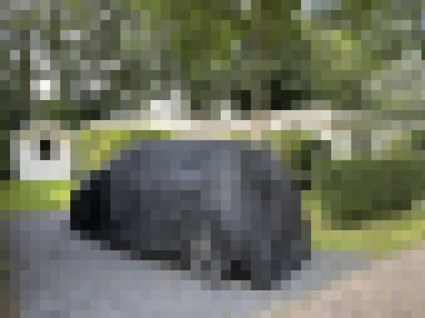 Buitenhuizerweg 2 222 Velsen-Zuid thumbnail 4