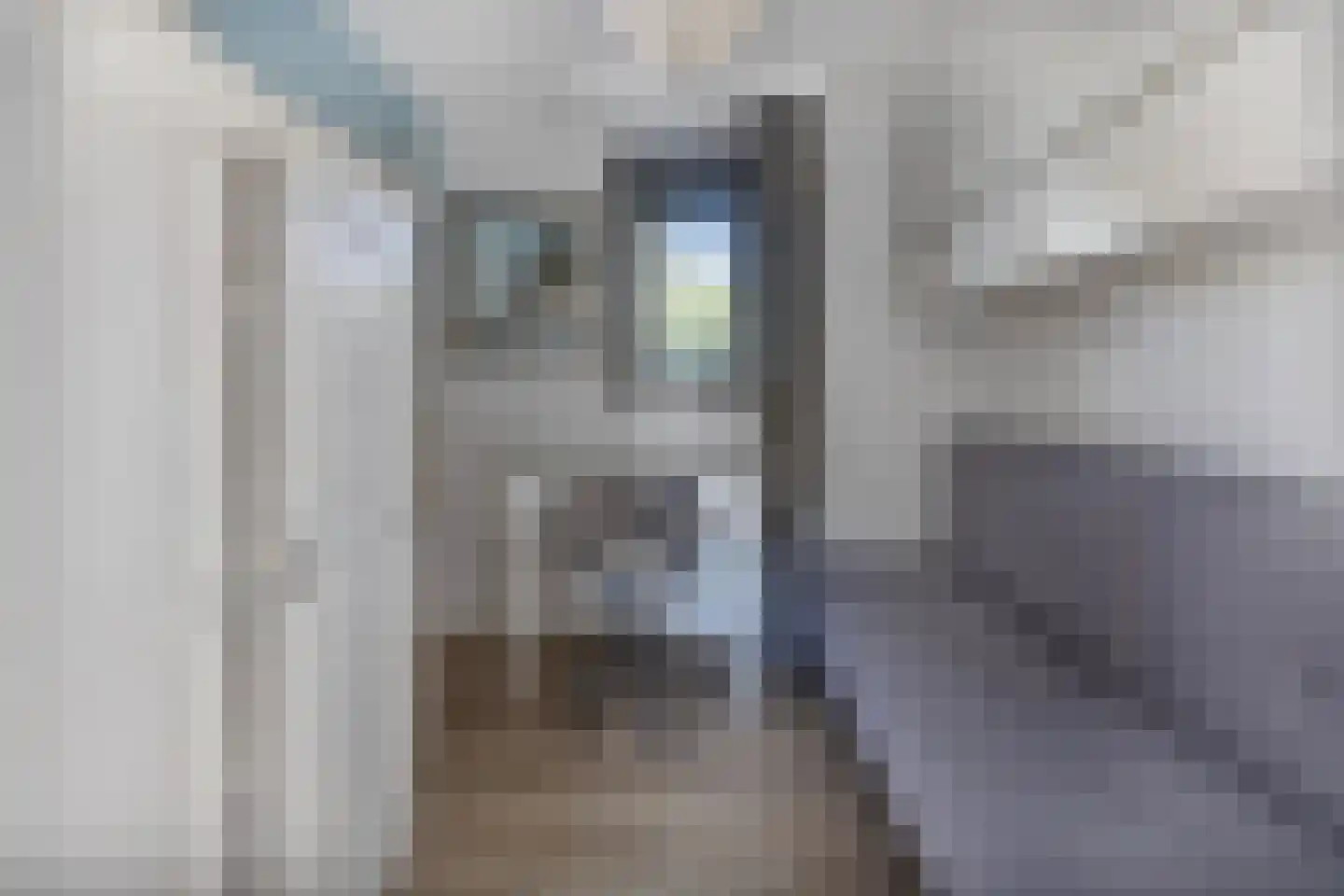 Buitenhuizerweg 2 25 Velsen-Zuid thumbnail 12