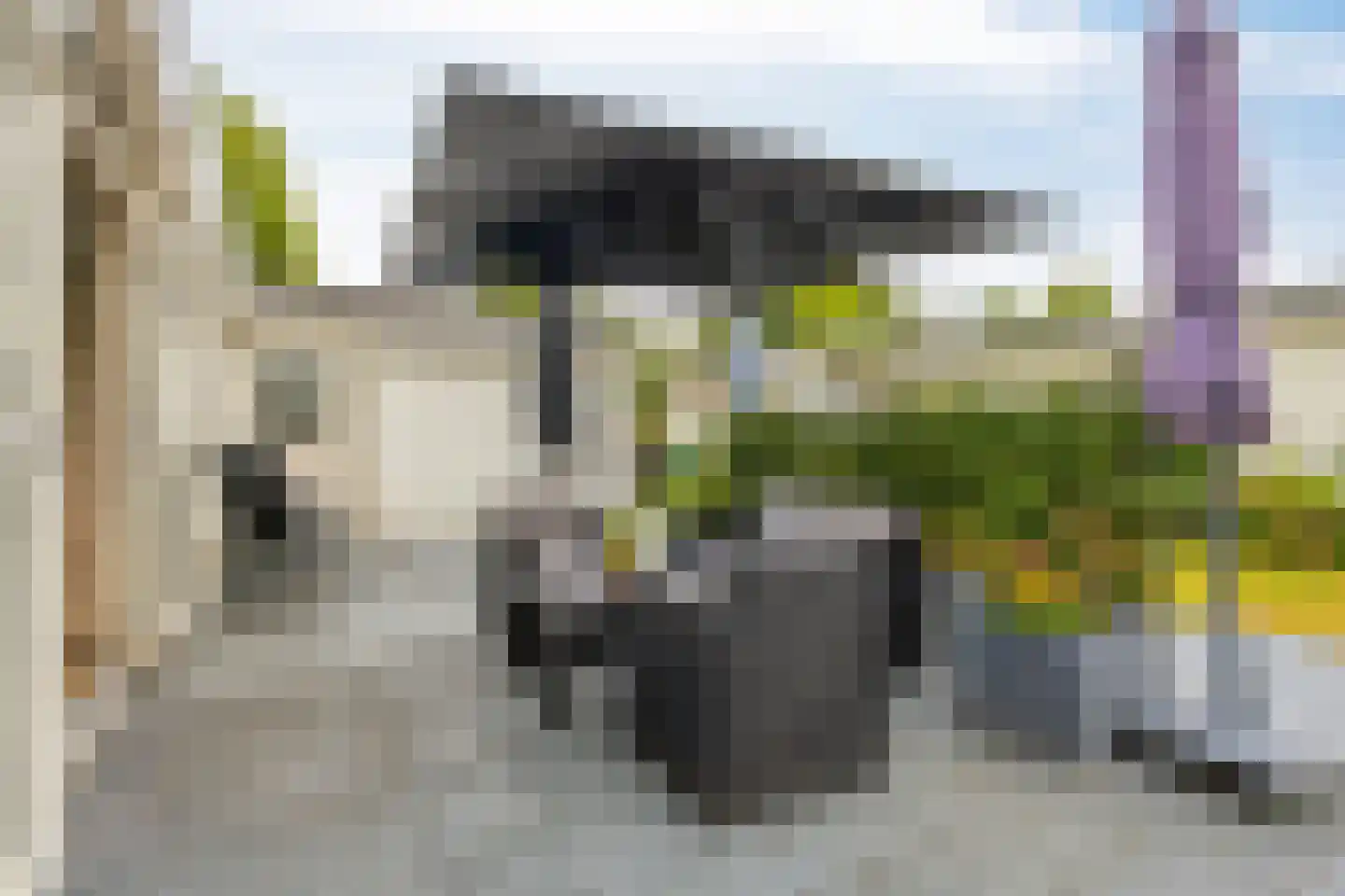 Buitenhuizerweg 2 261 Velsen-Zuid thumbnail 20