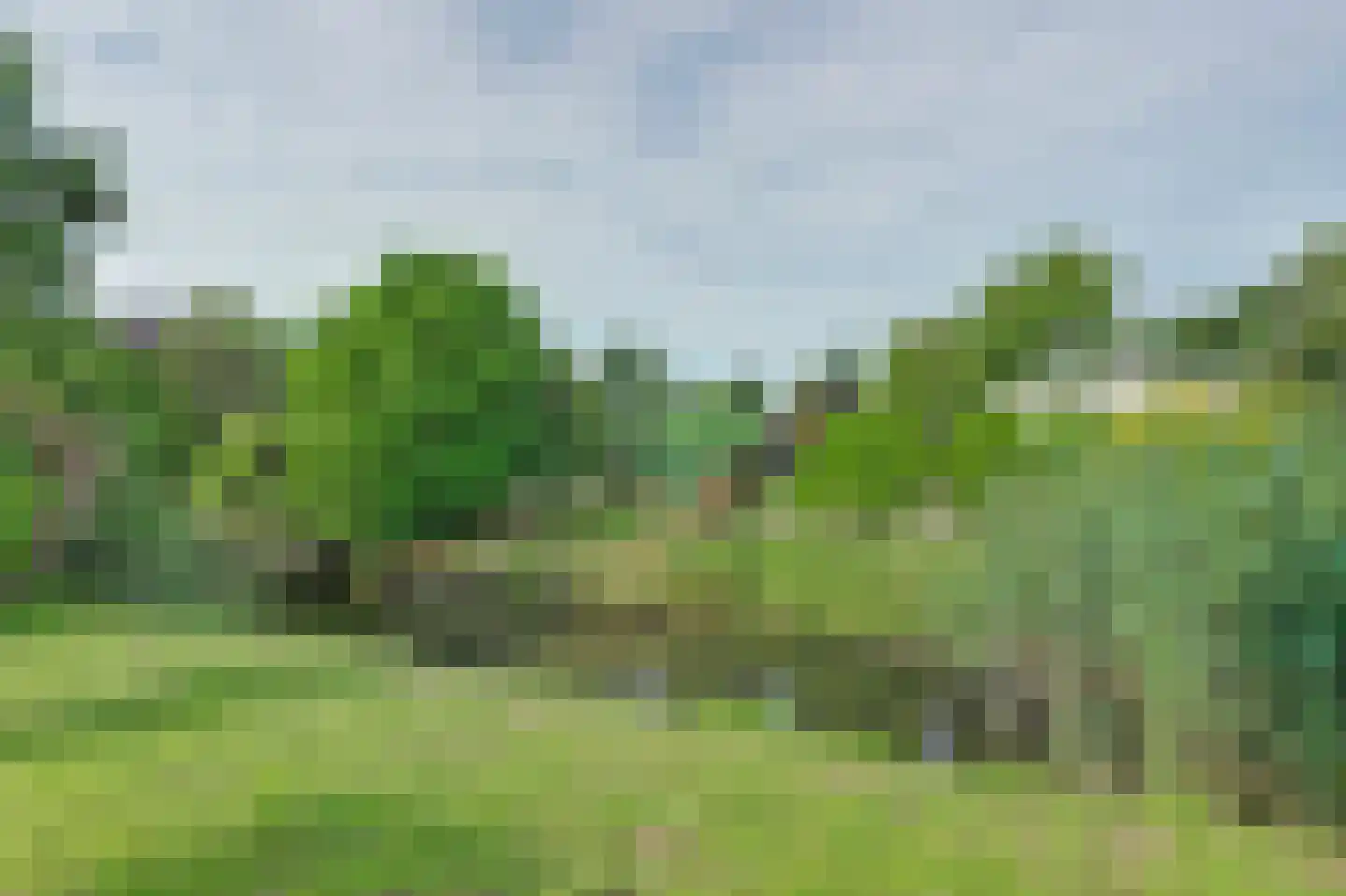 Buitenhuizerweg 2 37 Velsen-Zuid thumbnail 22