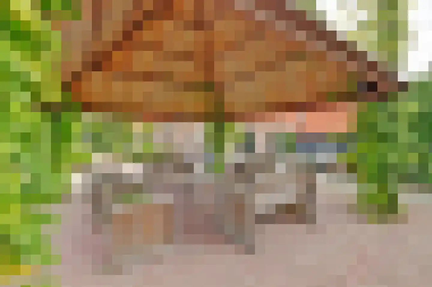 Buitenhuizerweg 2 37 Velsen-Zuid thumbnail 30