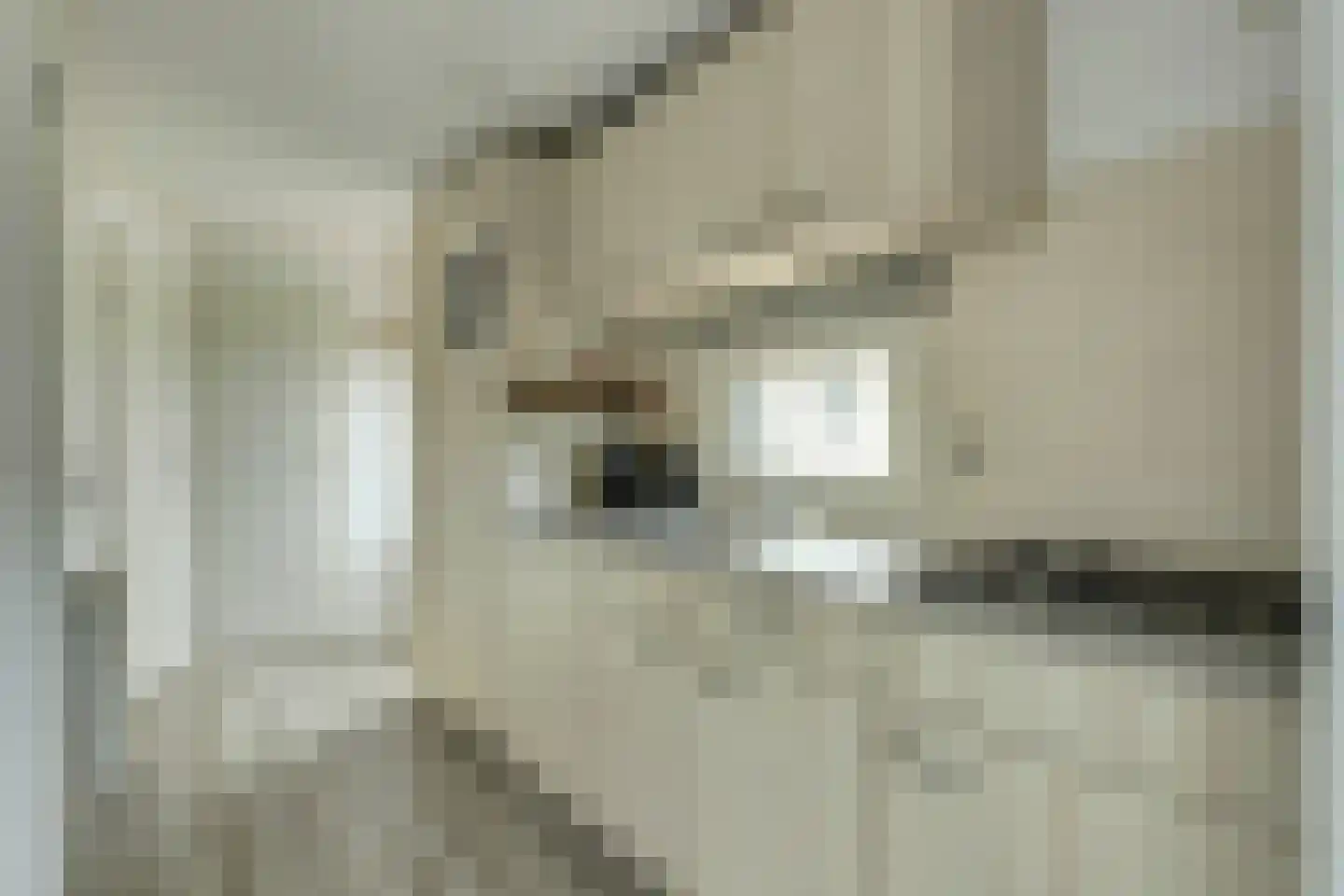 Buitenhuizerweg 2 37 Velsen-Zuid thumbnail 4