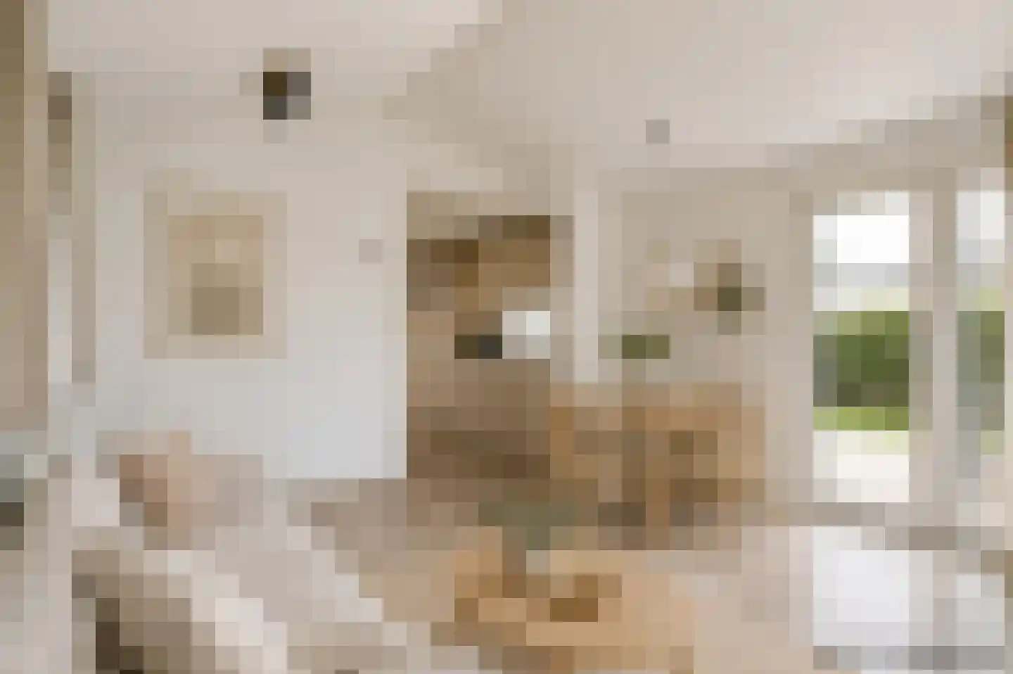 Buitenhuizerweg 2 37 Velsen-Zuid thumbnail 7