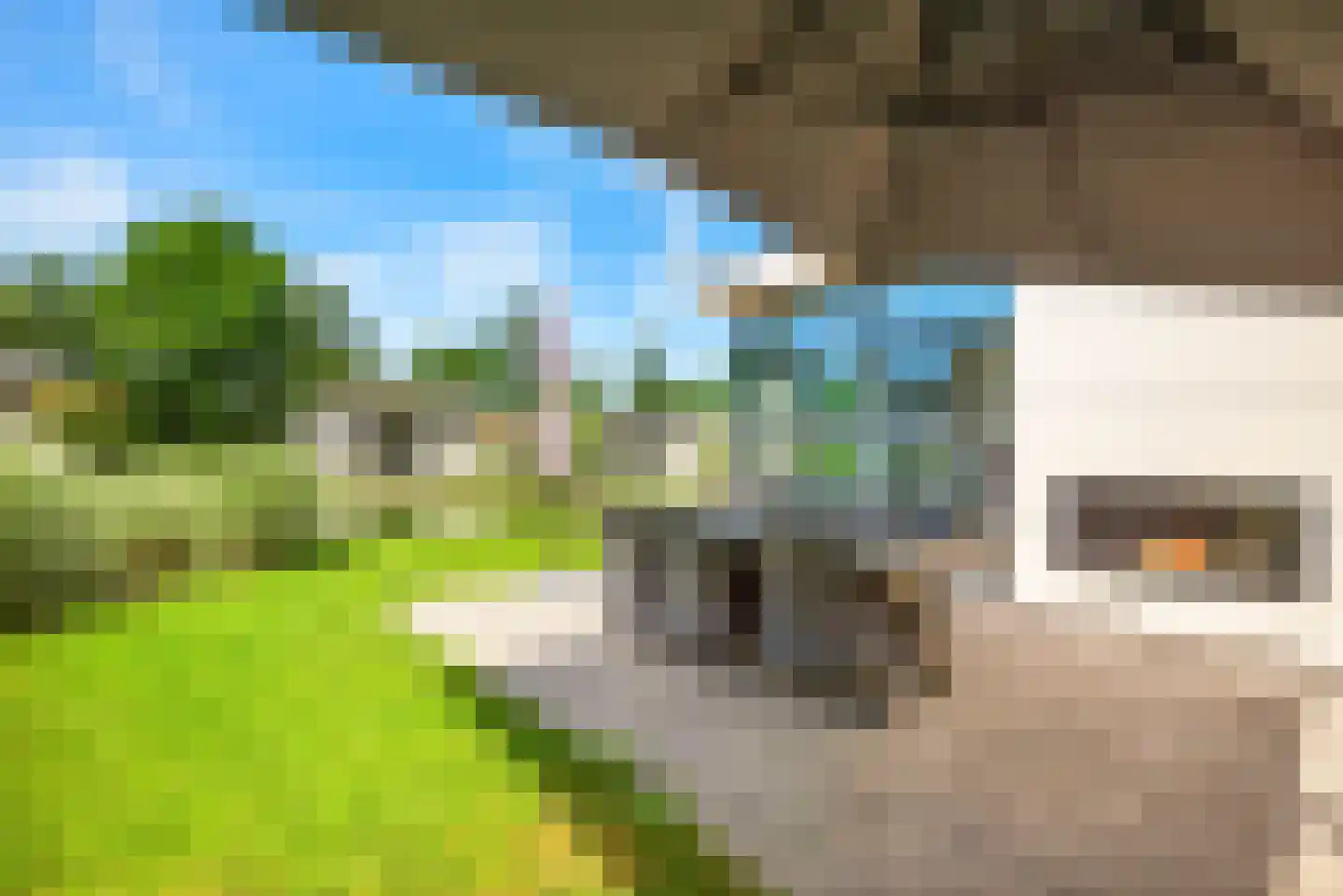 Buitenhuizerweg 2 421 Velsen-Zuid thumbnail 18