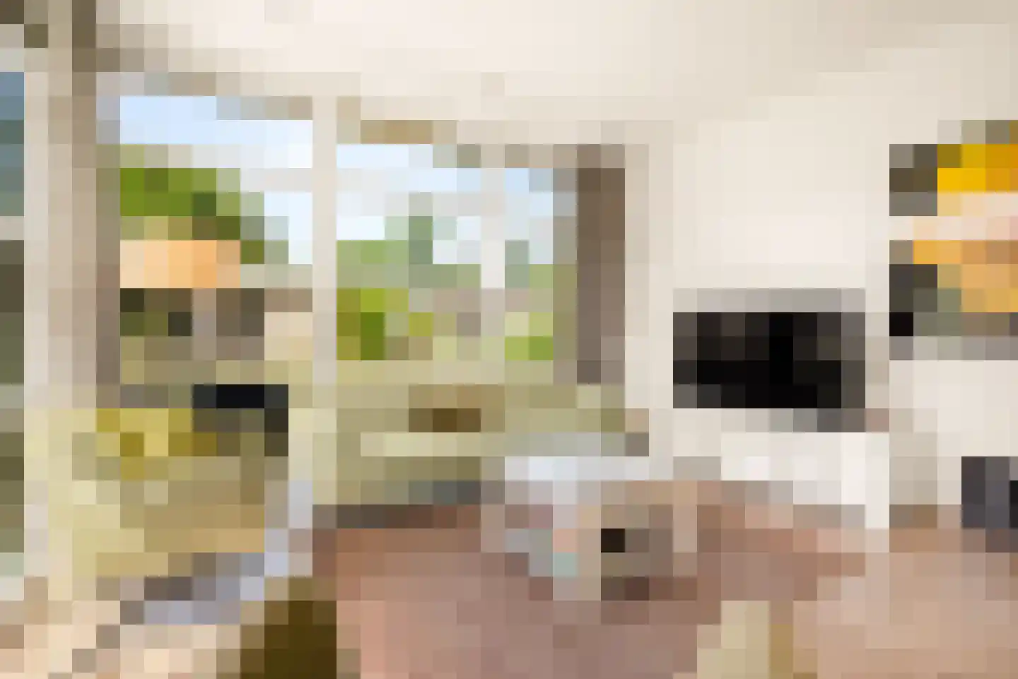 Buitenhuizerweg 2 421 Velsen-Zuid thumbnail 37