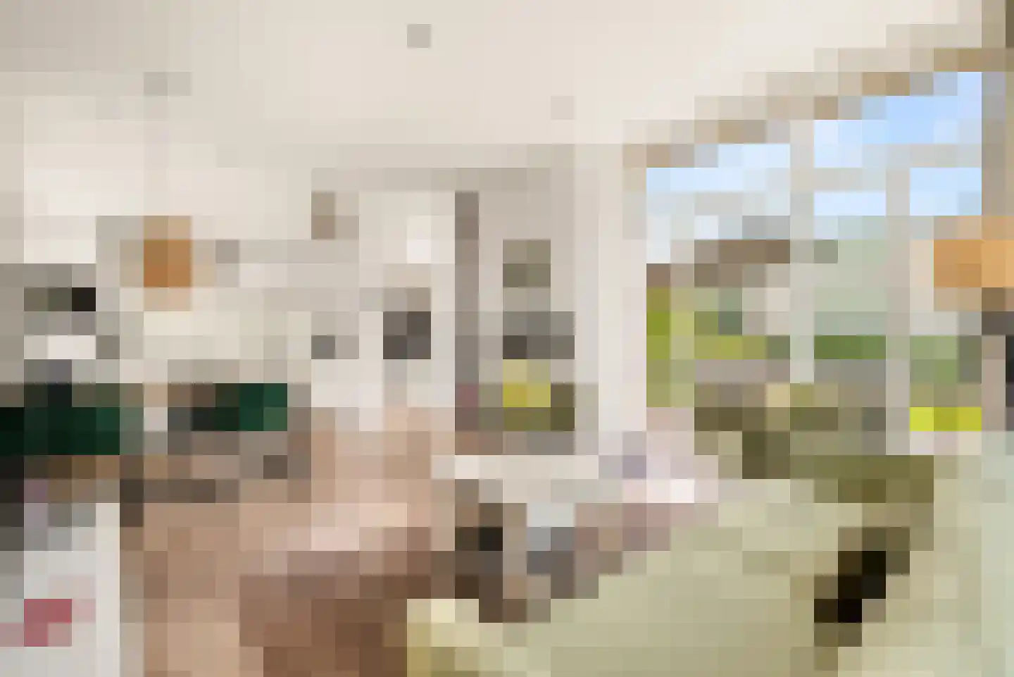 Buitenhuizerweg 2 421 Velsen-Zuid thumbnail 40