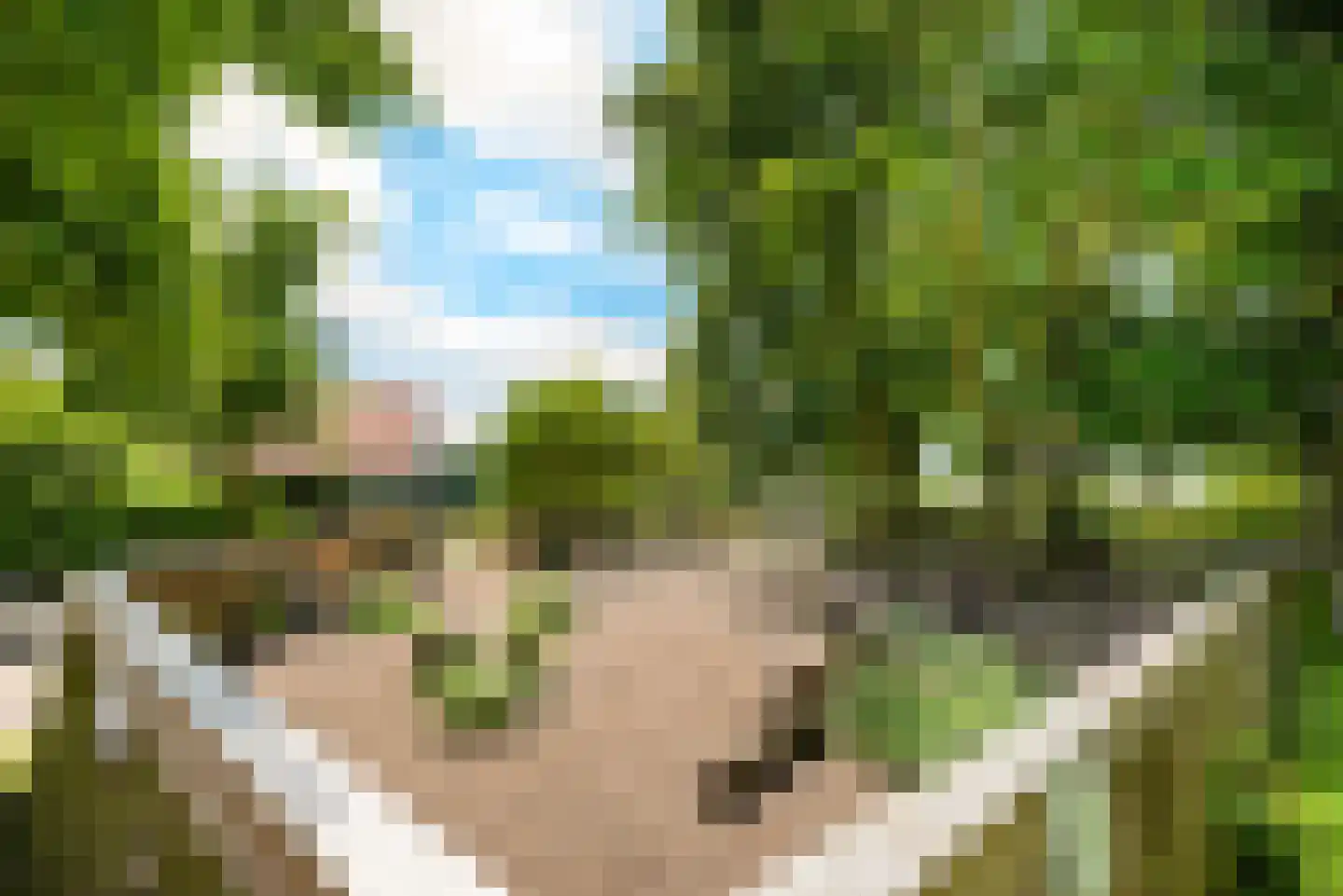 Buitenhuizerweg 2 421 Velsen-Zuid thumbnail 9