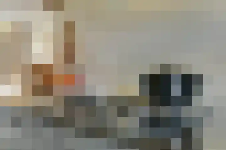 Buitenkade 1 Hank thumbnail 27
