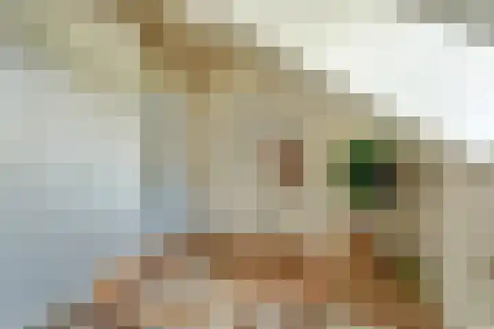 Buitenkade 1 Hank thumbnail 42