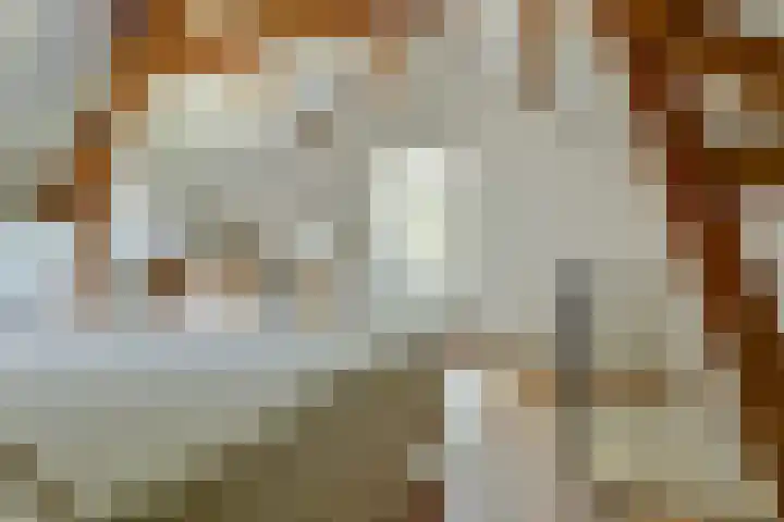 Buitenkade 1 Hank thumbnail 47