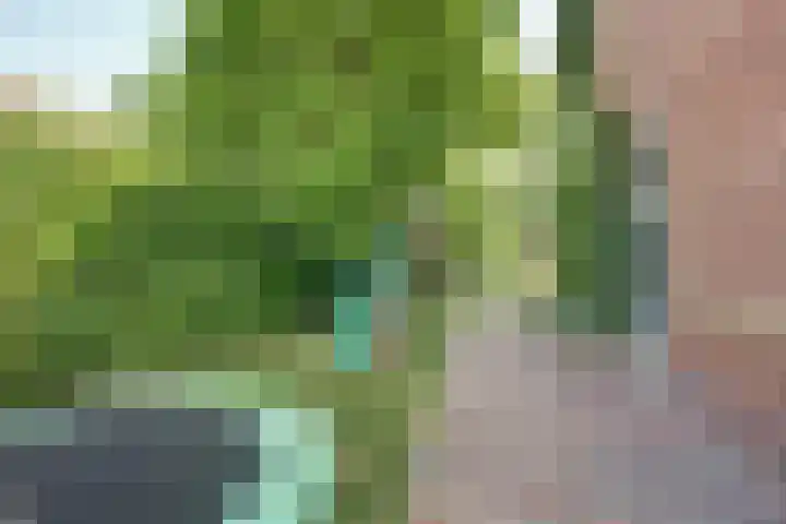Buitenkade 1 Hank thumbnail 49