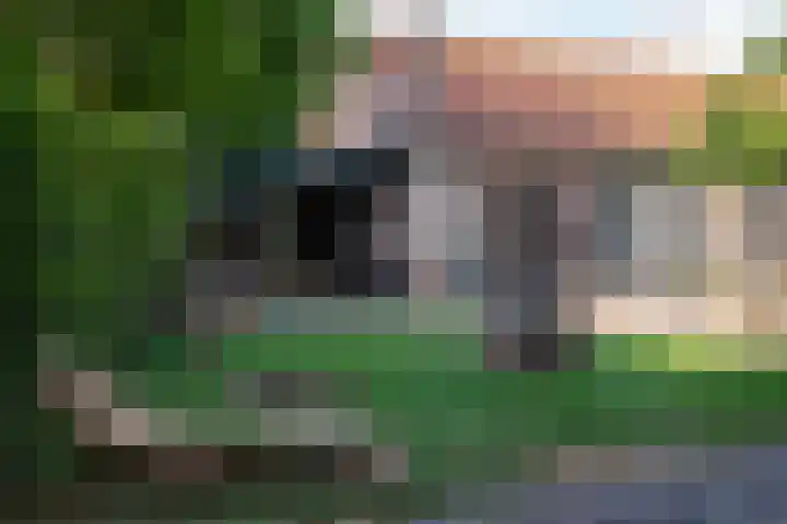 Buitenkade 1 Hank thumbnail 52