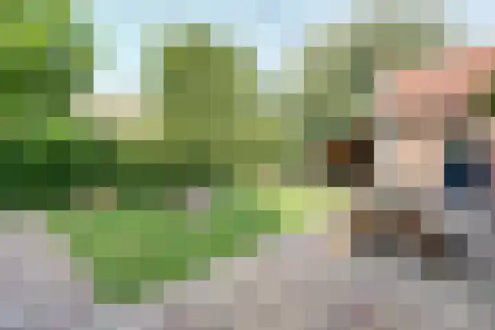 Buitenkade 1 Hank thumbnail 54