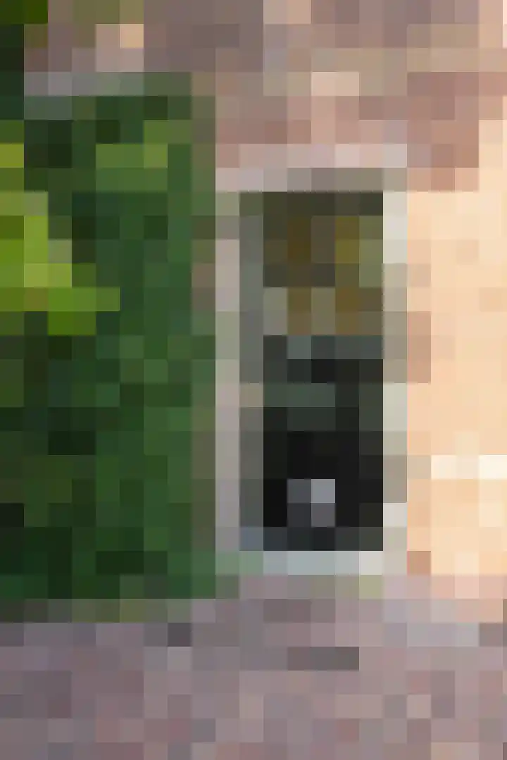 Buitenkade 1 Hank thumbnail 9