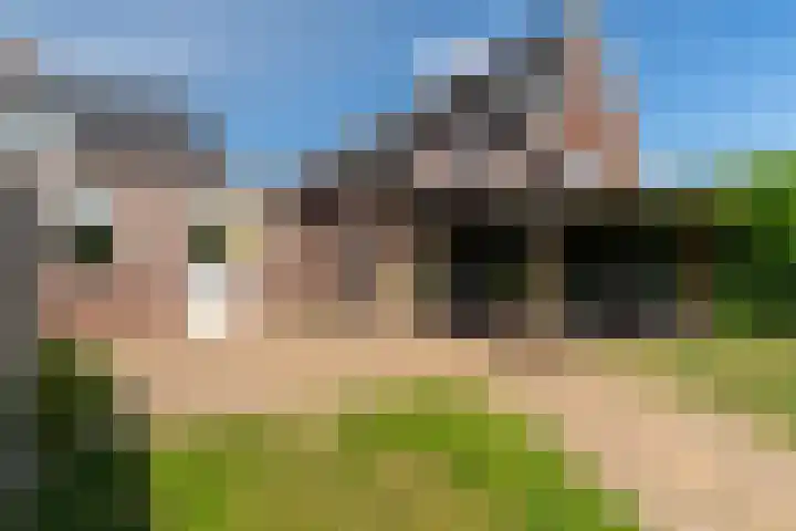 Buitenkade 20 Hank thumbnail 24