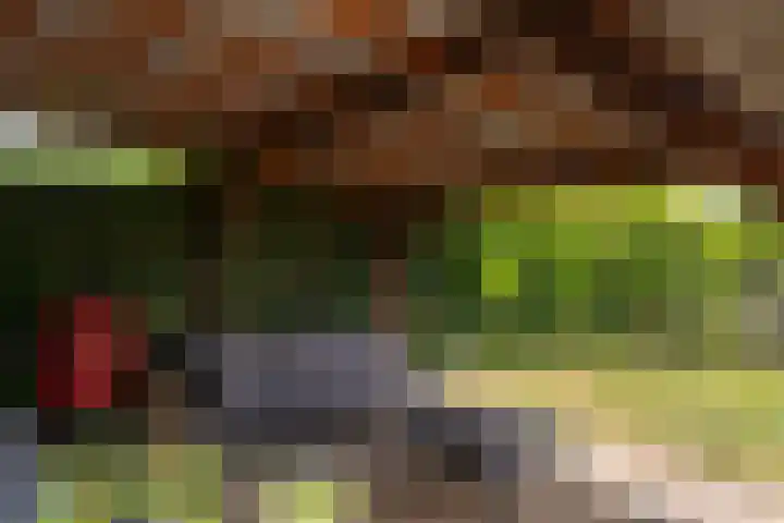 Buitenkade 20 Hank thumbnail 25