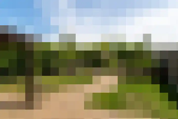 Buitenkade 20 Hank thumbnail 26