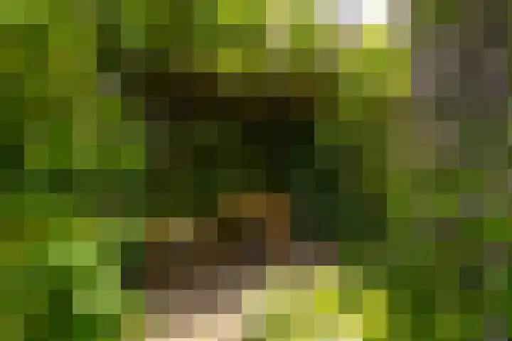 Buitenkade 20 Hank thumbnail 27