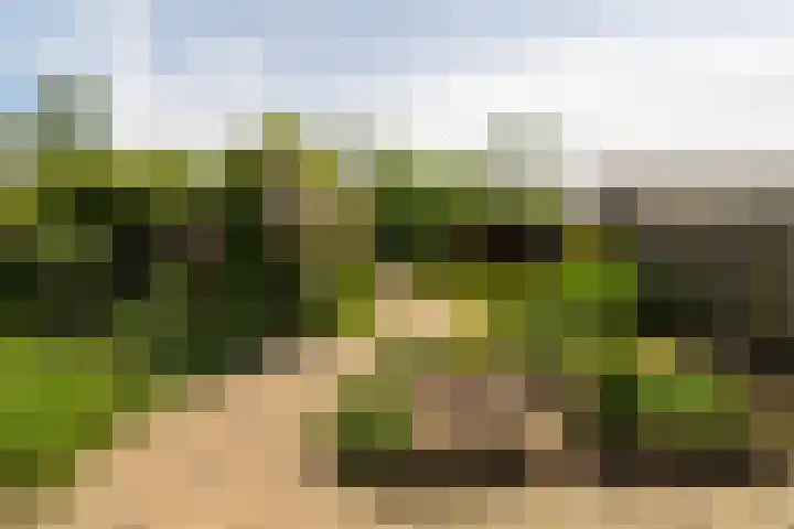 Buitenkade 20 Hank thumbnail 28