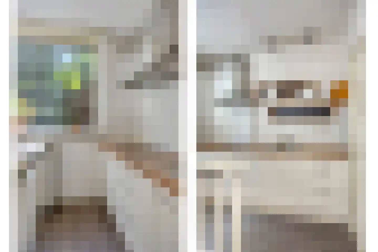 Buitenkamp 1 Epse thumbnail 10
