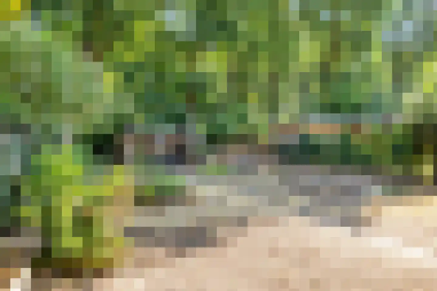 Buitenkamp 1 Epse thumbnail 22