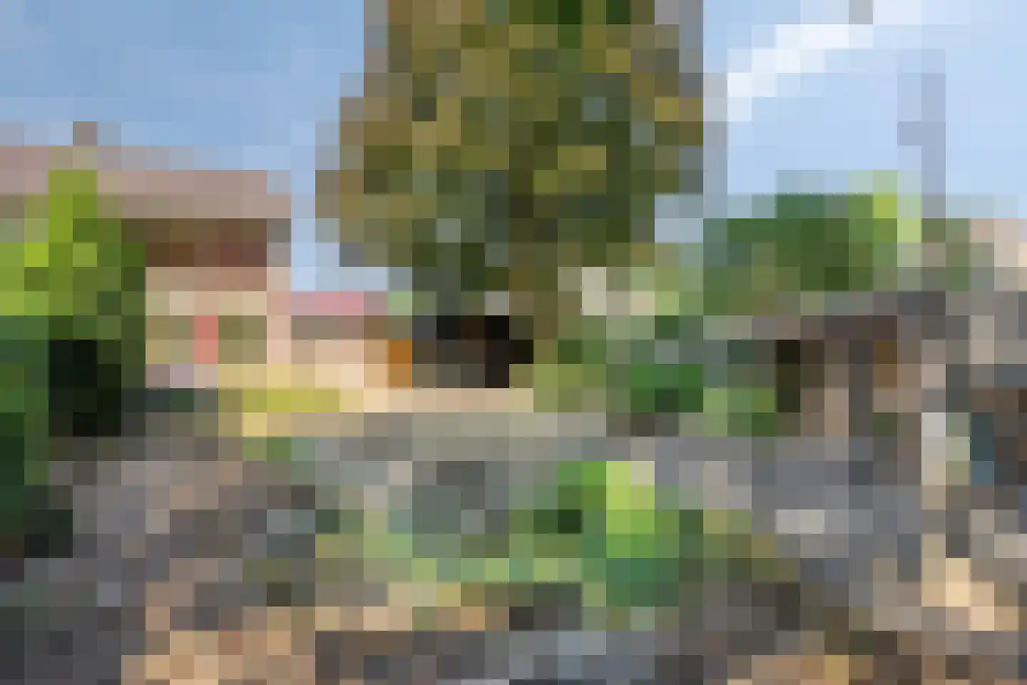 Buitenkamp 1 Epse thumbnail 26