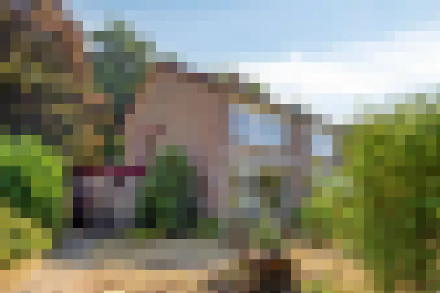 Buitenkamp 1 Epse thumbnail 29