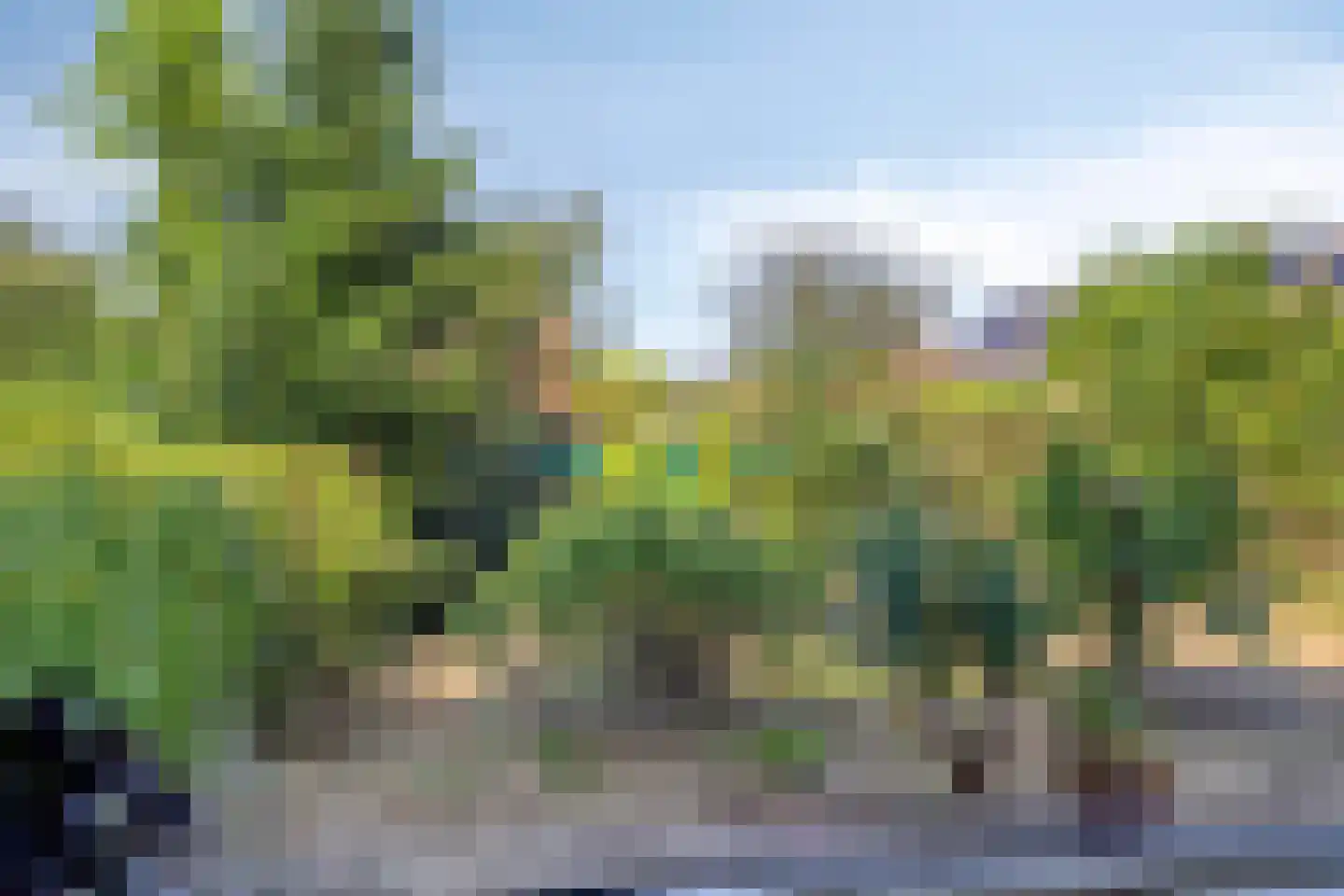 Buitenkamp 1 Epse thumbnail 6