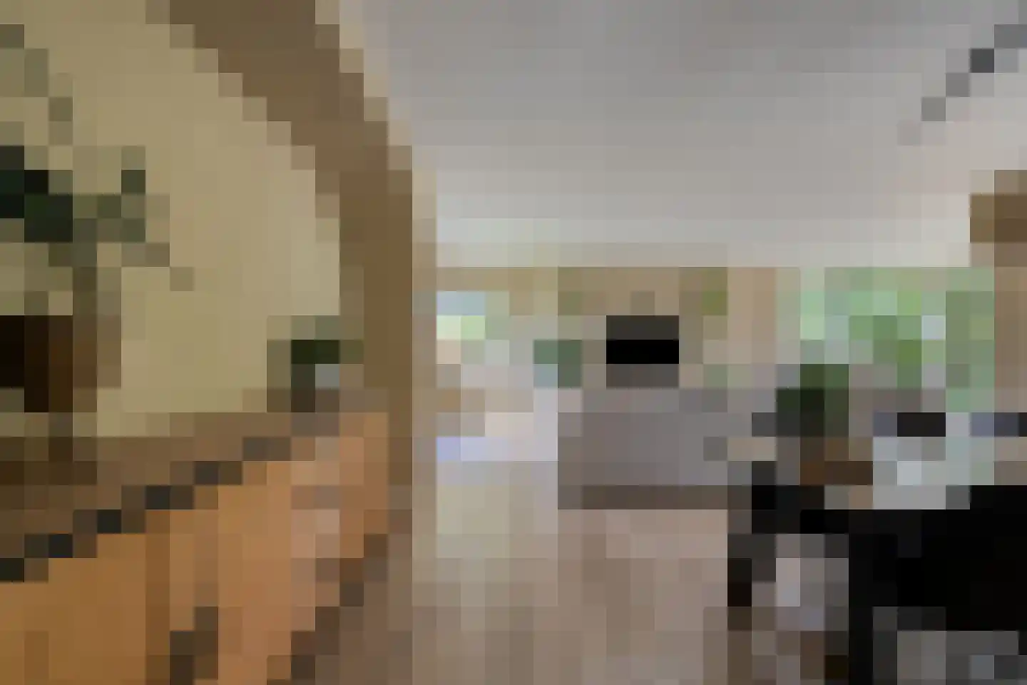 Buitenkant 1 Biddinghuizen thumbnail 10