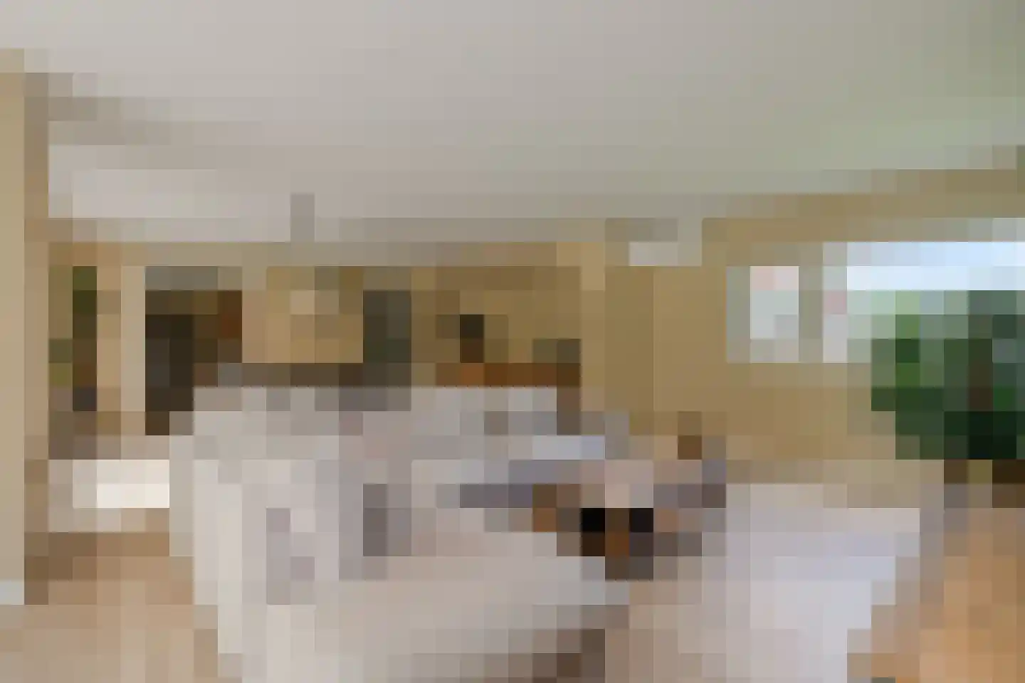 Buitenkant 1 Biddinghuizen thumbnail 14