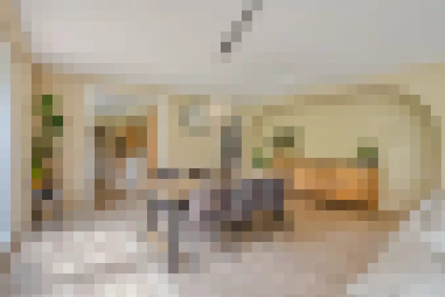 Buitenkant 1 Biddinghuizen thumbnail 17