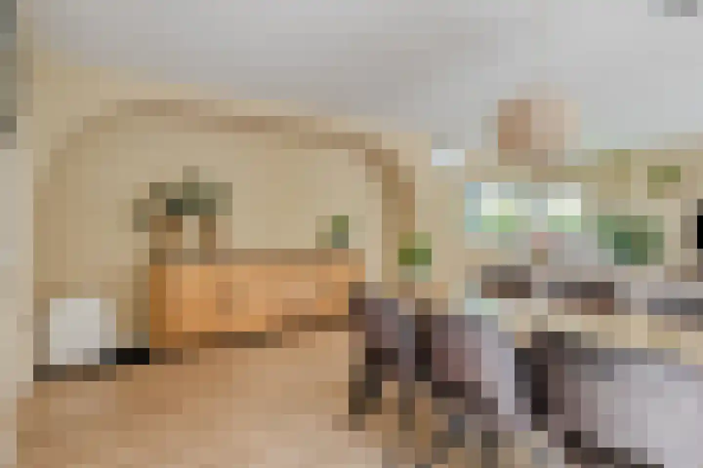 Buitenkant 1 Biddinghuizen thumbnail 18
