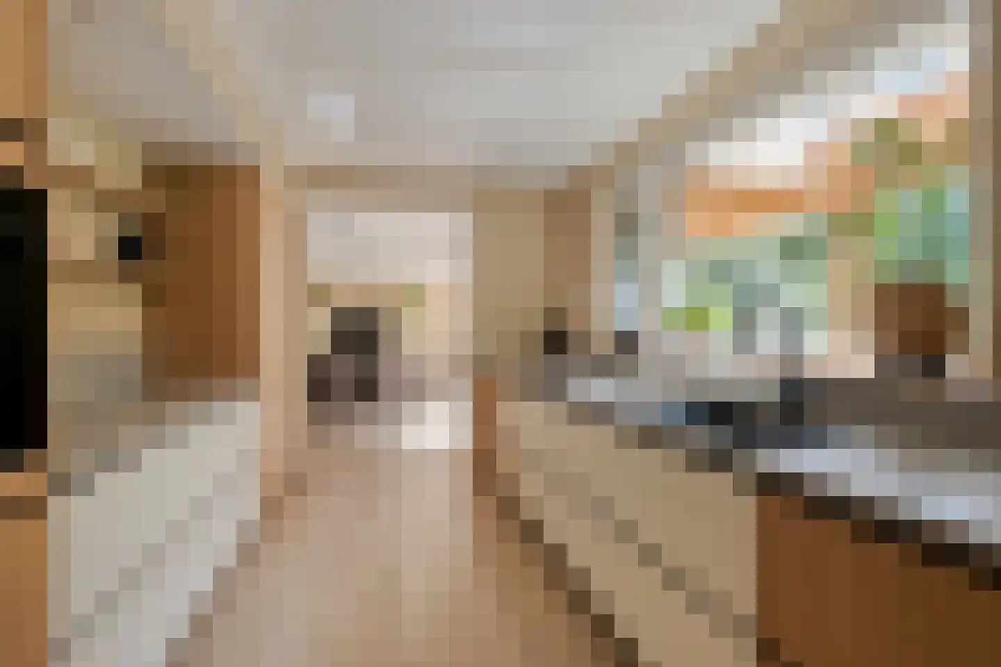 Buitenkant 1 Biddinghuizen thumbnail 21