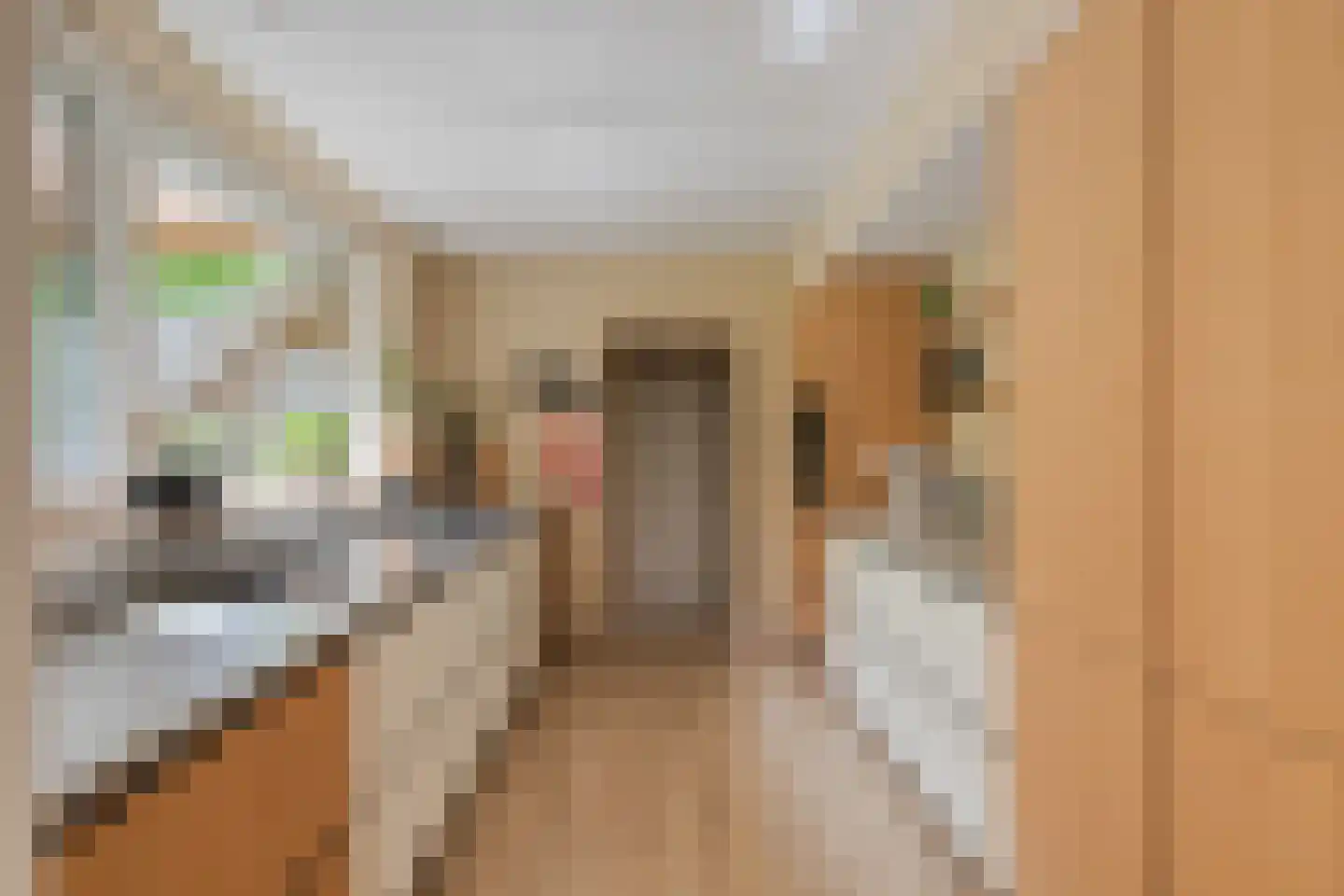 Buitenkant 1 Biddinghuizen thumbnail 23