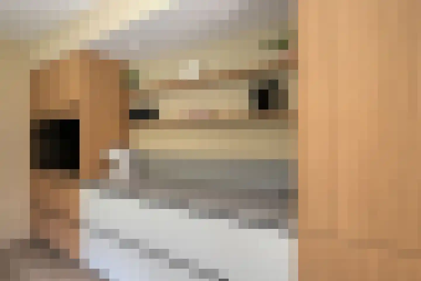 Buitenkant 1 Biddinghuizen thumbnail 24