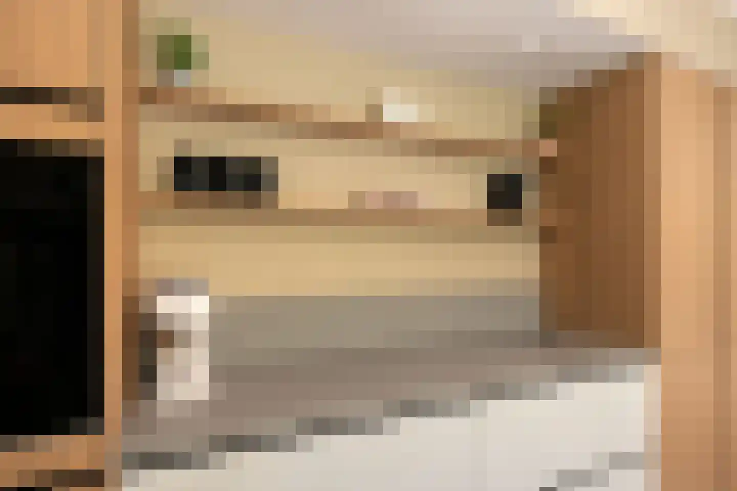 Buitenkant 1 Biddinghuizen thumbnail 25