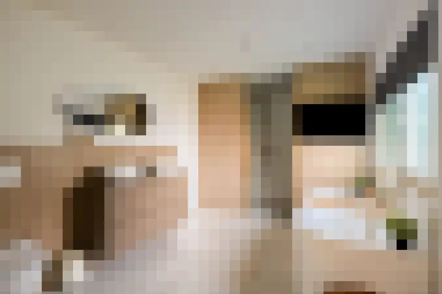 Buitenkant 1 Biddinghuizen thumbnail 32