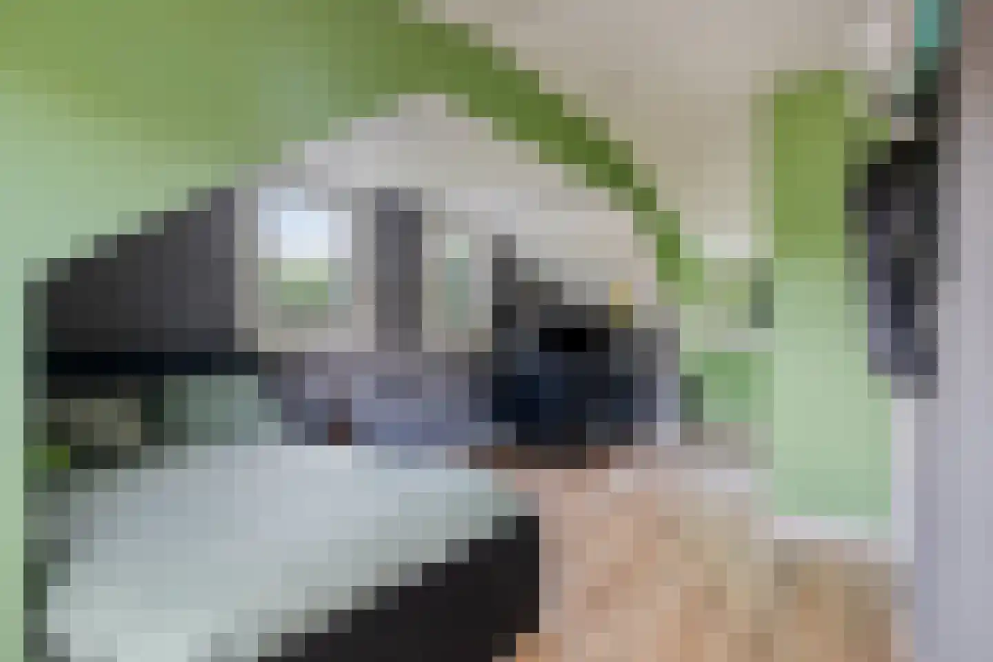 Buitenkant 1 Biddinghuizen thumbnail 41