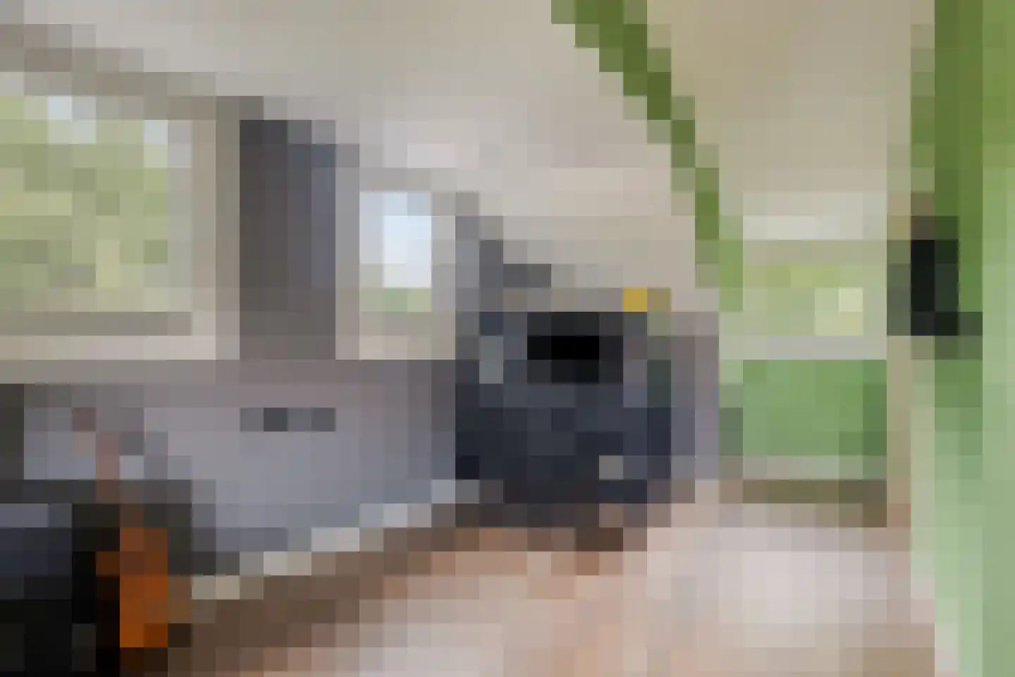Buitenkant 1 Biddinghuizen thumbnail 42