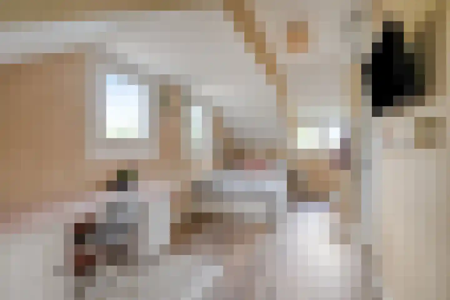 Buitenkant 1 Biddinghuizen thumbnail 43