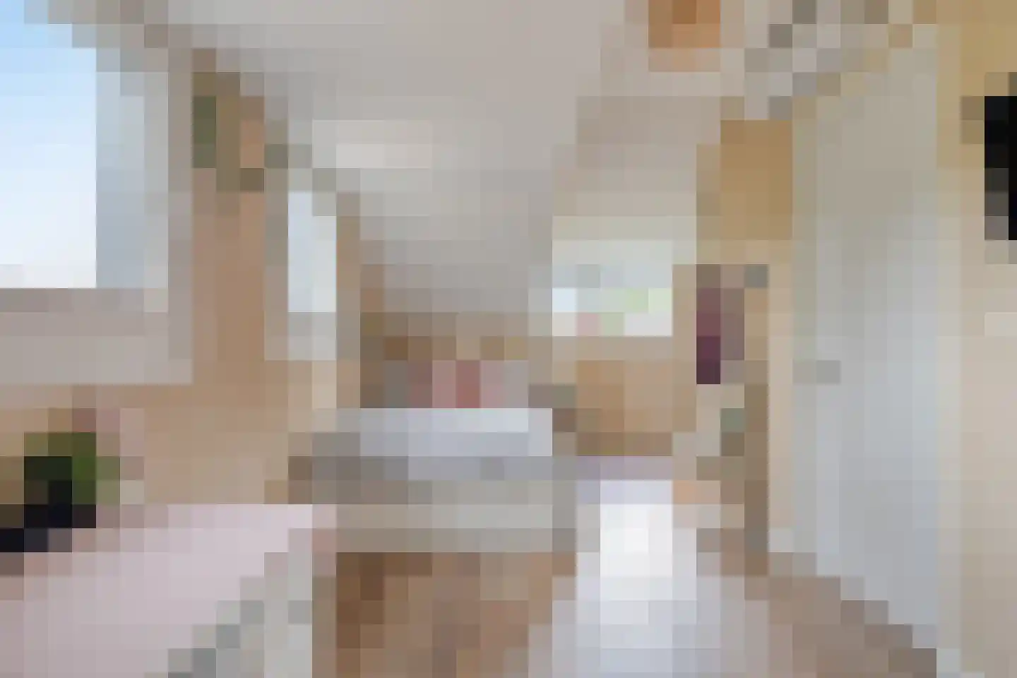 Buitenkant 1 Biddinghuizen thumbnail 44