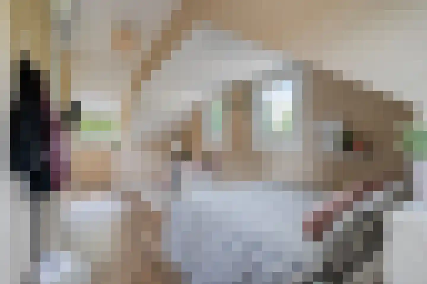 Buitenkant 1 Biddinghuizen thumbnail 46