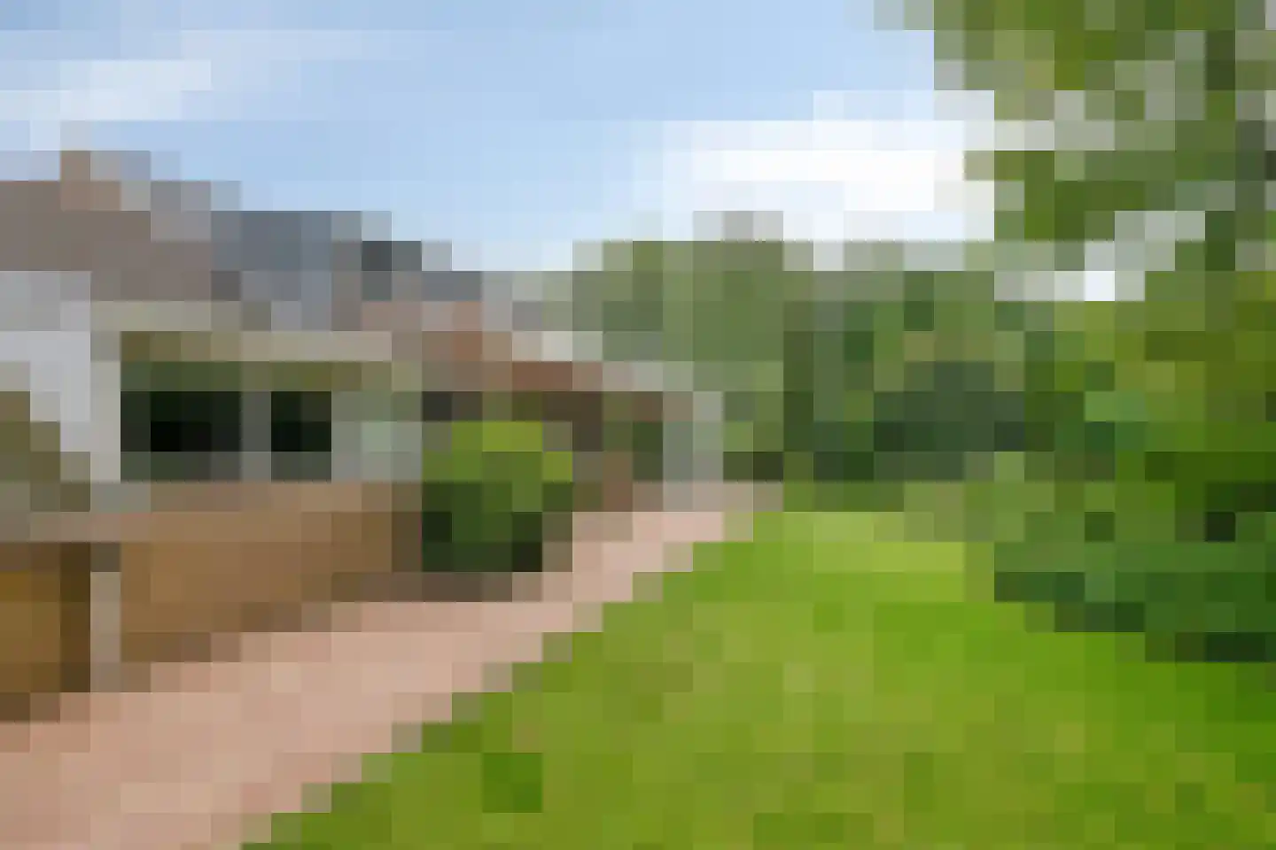 Buitenkant 1 Biddinghuizen thumbnail 52